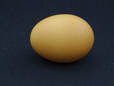 Brown egg on a black background.