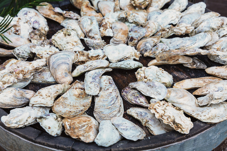 Oyster shells on wooden circle tableの写真素材