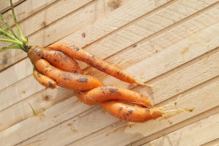 Close-up of unusual carrot root on light wooden background. Copyspaceの写真素材