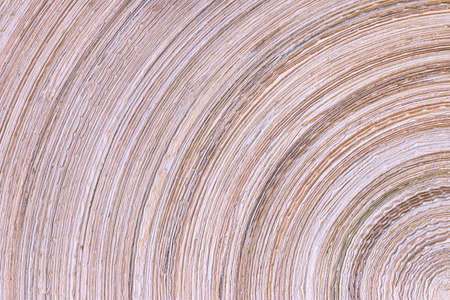 Close-up of bend striped textured background. Part of compressed bamboo plateの写真素材