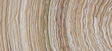 Close-up of striped textured background. Part of compressed bamboo plateの写真素材