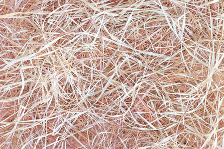 Abstract natural background of dried grass, hay or wood shaving, bast fiber. Natural environmental material. Top view, flat layの写真素材