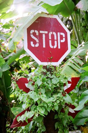 next to railway crossroad in Sri-Lanka.の写真素材