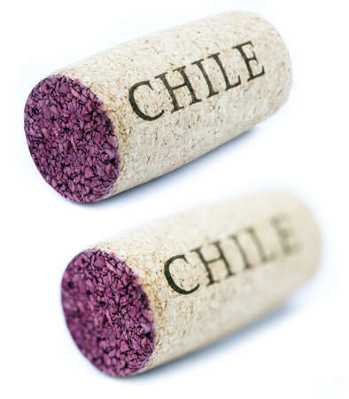 A stained wine cork with 'Chile' written on it, isolated on white background, shot at its horizontal position shot diagonally to the camera.
Two types of depth of field - shallow and deep.の写真素材
