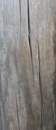 Old wooden texture. Texture of old wooden boards. Wood covering. Wooden background. Wooden materials for graphic designの写真素材