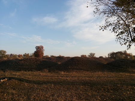 Magnificent landscape of flat terrain. The beauty of the wilderness. Endless meadows. walk in the fresh air. Clean nature on a blue sky background.の写真素材