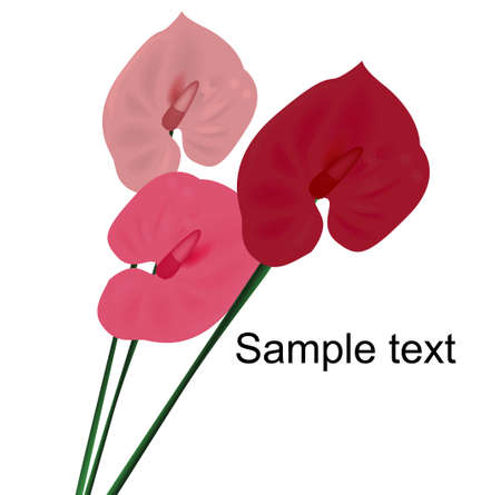 card design with stylized flower;  invitation for holidays and life events, with space for your textのイラスト素材