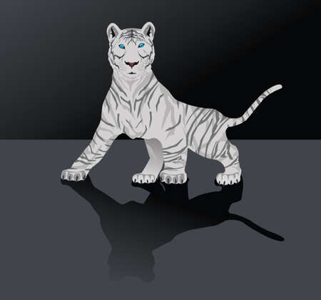 White Bengal tigerのイラスト素材