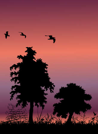 tree silhouette background and birds flying, with place for your textのイラスト素材