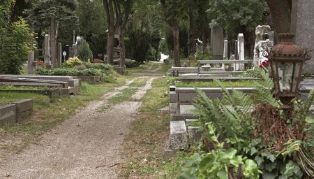Tombs along one edge of the central cemetery in Vienna, Austria.