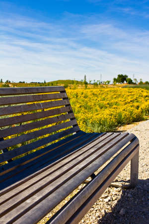 Park bench in spring with yellow flowers on background.のeditorial素材