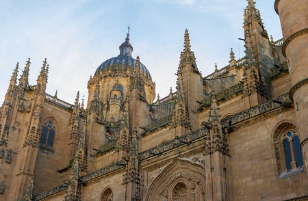 Salamanca Cathedral, made of sandstone, from a low angle.の写真素材