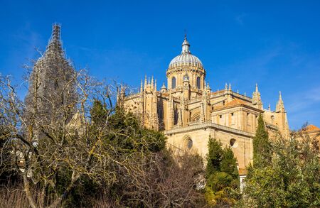 Salamanca Cathedral, made of sandstone, behind garden trees.の写真素材