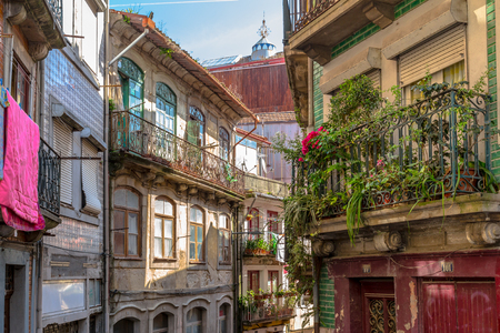 Old and ruined alley decorated with plants in downtown Porto.の写真素材