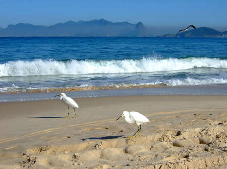 Pollution in Sugar Loaf, Rio de Janeiro seen by Itaipu beach in Niterói, Brazilの写真素材
