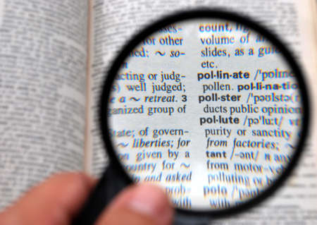 Problem awareness looked by the magnifying glassの写真素材