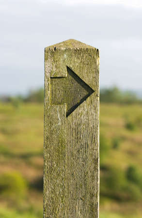 a wooden sign post showing the wayの写真素材