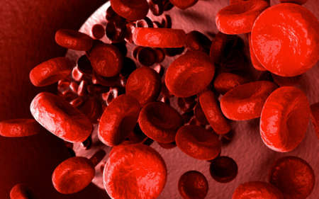 Streaming blood cells inside of veinの写真素材