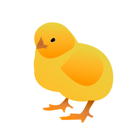 Chicken isolated on a white background. Vector illustration of a chickenのイラスト素材