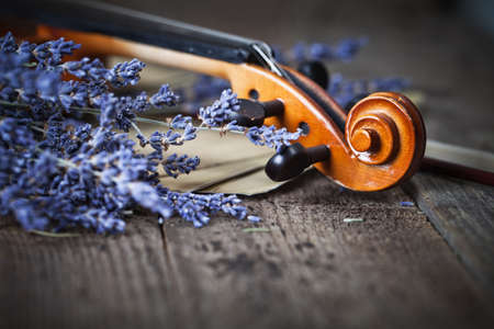 Vintage composition with violin and lavenderの写真素材