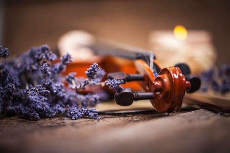Vintage composition with violin and lavenderの写真素材
