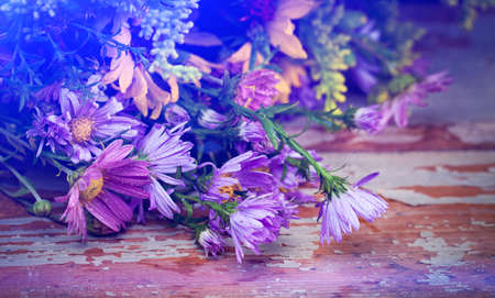 Flowers on old wooden backgroundの写真素材