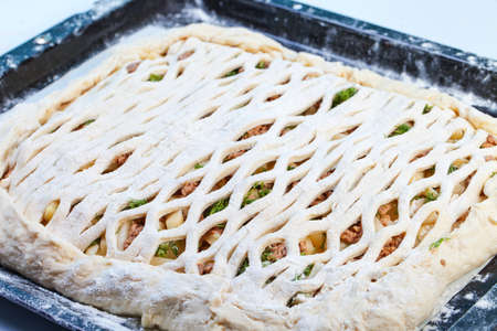 Homemade raw fish pieの写真素材