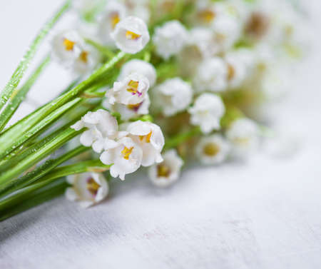 Lily of the valleyの写真素材