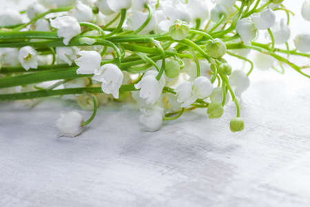 Lily of the valleyの写真素材