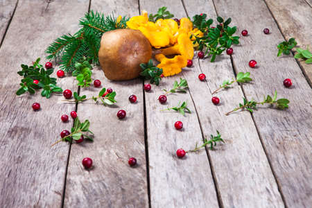 Raw wild mushrooms chanterelles on old wooden background. Vegetarian healthy product. healthy lifestyleの写真素材