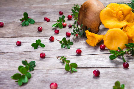 Raw wild mushrooms chanterelles on old wooden background. Vegetarian healthy product. healthy...