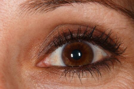 Bown woman eyeの写真素材