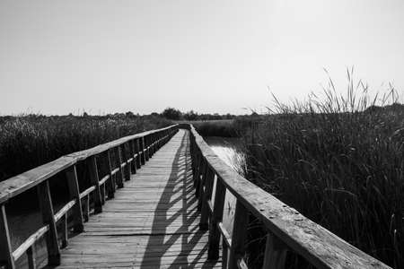 Photograph of a wooden footbridge over a fieldの写真素材
