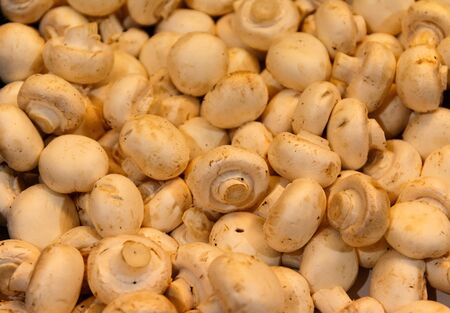 Mushrooms in a market stall in Madridの写真素材