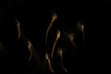 strange hands climbing up a tree in the darkの写真素材
