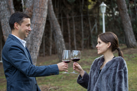 Young couple toasting with wine in a crystal glassの写真素材