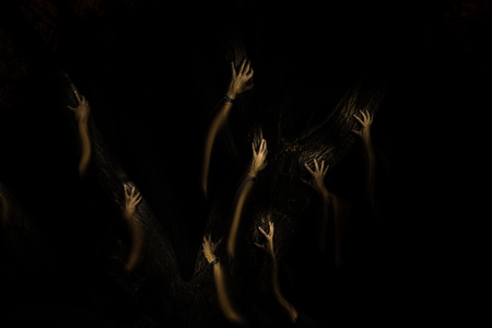 strange hands climbing up a tree in the darkの写真素材