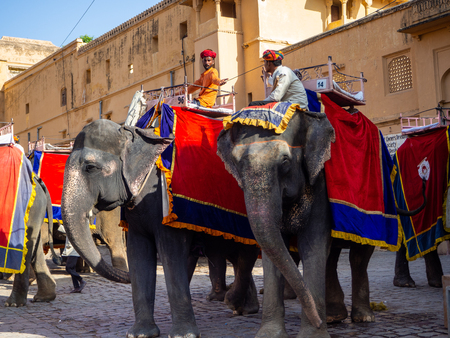 Jaipur, India, 20th September 2018. Visit to the Amber fort for an elephant rideのeditorial素材