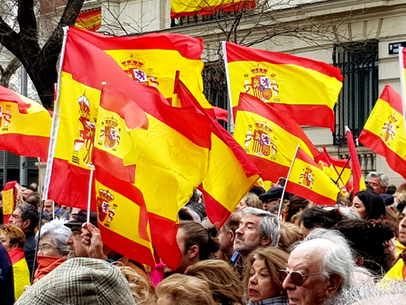 Madrid, February 10, 2019. Spanish citizens attend the demonstration against the socialist government in Madridのeditorial素材