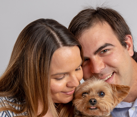 Young couple pose in a photography studio sitting in a chair with a yorkshire dog.の写真素材