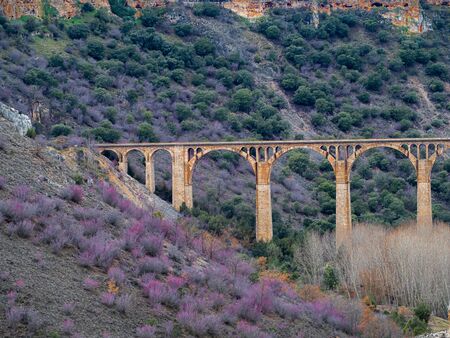 Isolated stone aquaduct in the middle of a forest with large rocks in Maderuelo in Spainの写真素材