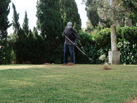 Large plot of grass collected with a rake and carried by a gardenerの写真素材