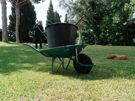 Iron wheelbarrow carrying bucket of grass cut from a gardenの写真素材