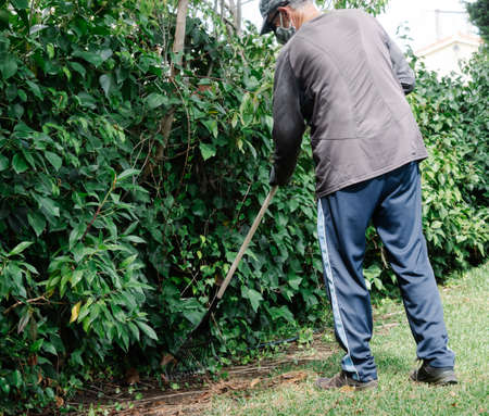 Photograph of a man, dressed as a gardener, doing his job in a garden with a rakeの写真素材