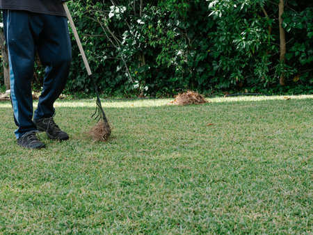 Large plot of grass collected with a rake and carried by a gardenerの写真素材
