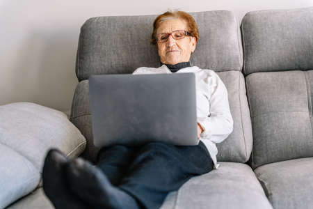 Relaxed elderly female sitting on soft couch at home and surfing Internet on laptopの写真素材