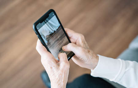 Focused senior female sitting on sofa and messaging on social media via smartphone while relaxing at home at weekendの写真素材