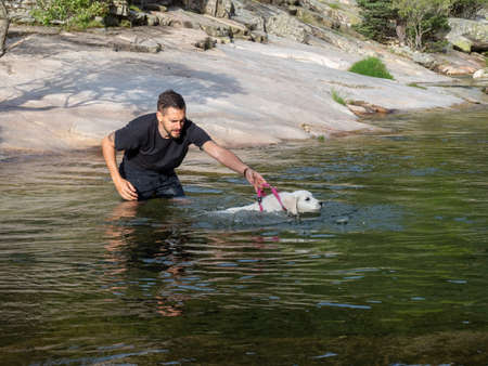 Dog handler holding by the leash teaching puppy to swim in lagoon. White puppy learning to swim in a lake.の写真素材