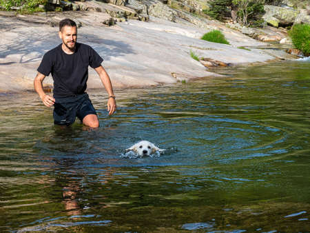 Dog handler teaching puppy to swim in lagoon. White puppy learning to swim alone in a lake.の写真素材