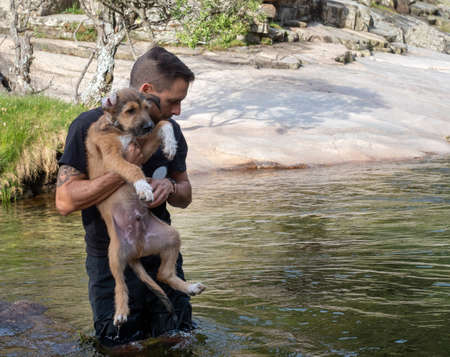 Close-up of dog handler holding puppy to teach him to swim in a lake. Brown puppy learning to swim in a lake.の写真素材